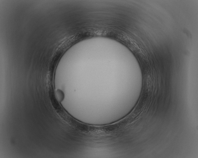 X0000116370594200912291712