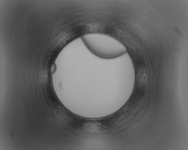 X0000116370595200912291712