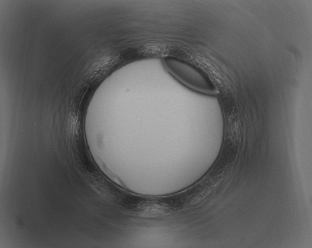 X0000116370597200912291712