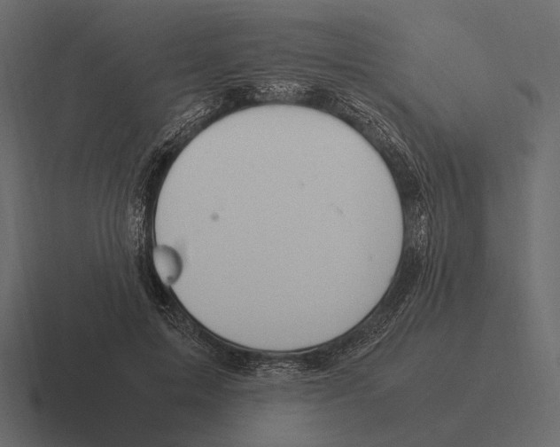 X0000116370599200912291712