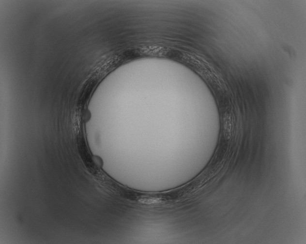 X0000116370602200912291712