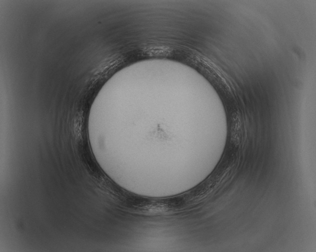 X0000116370604200912291712