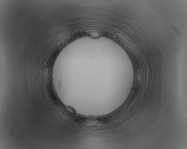 X0000116370605200912291712