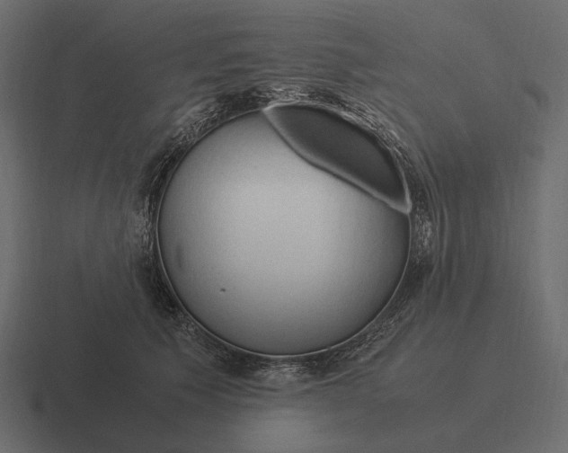 X0000116370609200912291712