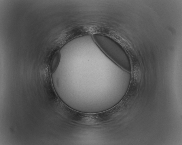 X0000116370611200912291712