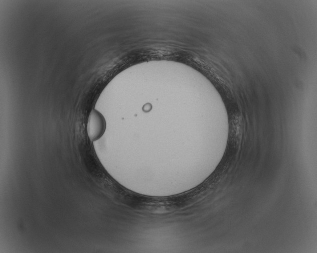 X0000116370615200912291712