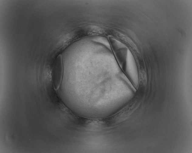 X0000116370621200912291711