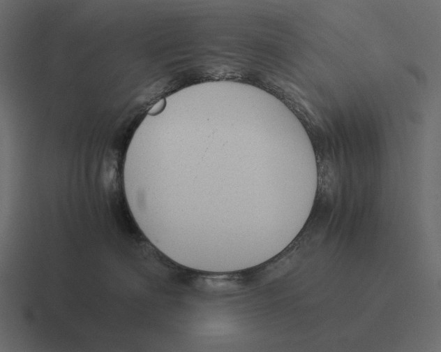 X0000116370622200912291711