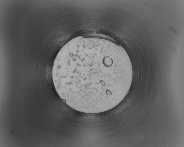 X0000116370624200912291711