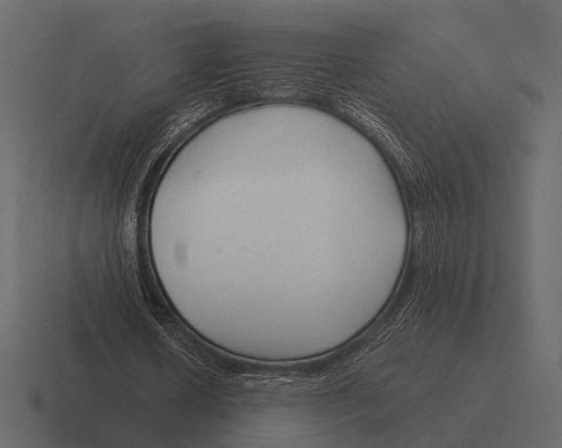 X0000116370626200912291711