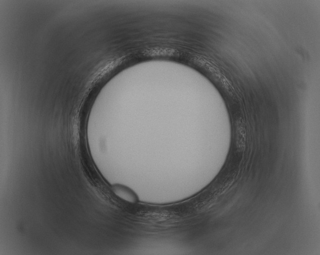 X0000116370631200912291711