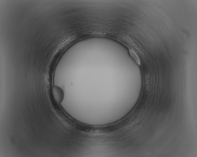 X0000116370634200912291711