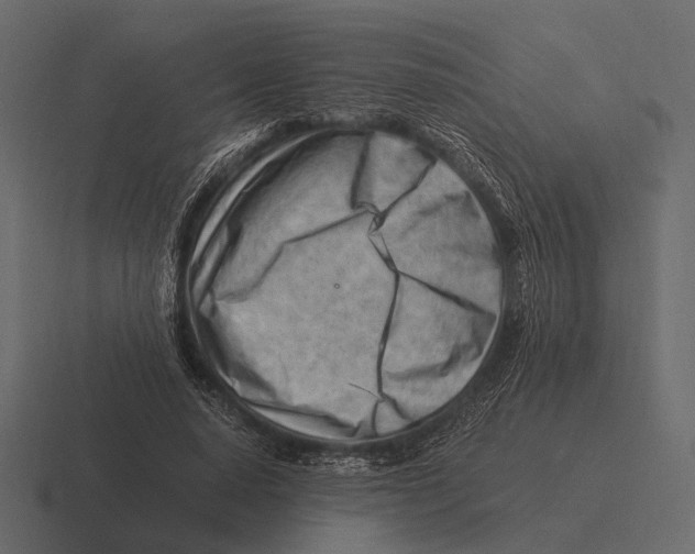 X0000116370640200912291711