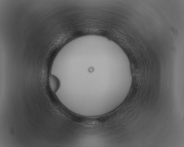 X0000116370642200912291711