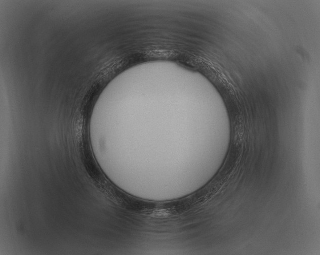 X0000116370647200912291711