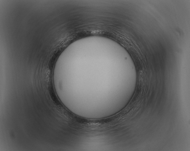 X0000116370650200912291711