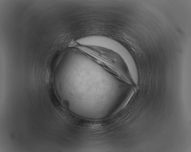 X0000116370651200912291711