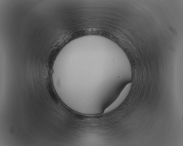 X0000116370654200912291711