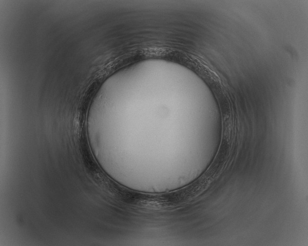 X0000116370655200912291711