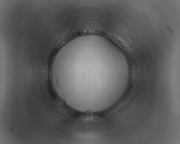 X0000116370661200912291711