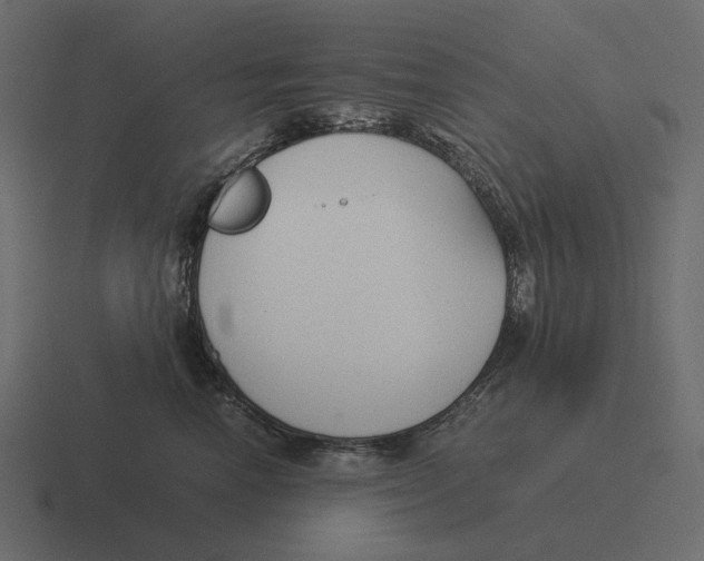 X0000116370666200912291711