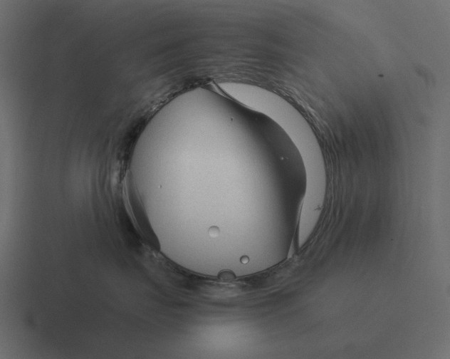 X0000116370671200912291711