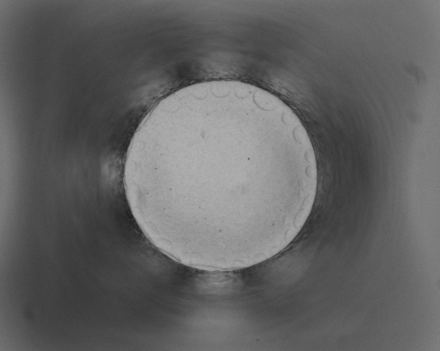 X0000116370672200912291711