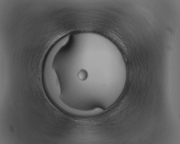 X0000116370673200912291711