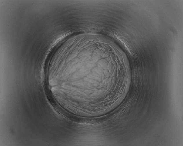 X0000116370674200912291711