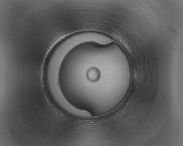 X0000116370676200912291711