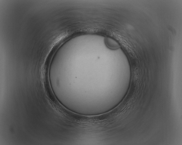 X0000116370679200912291711