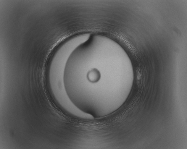 X0000116370684200912291711