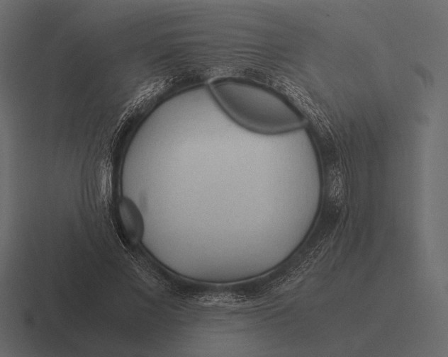 X0000116370685200912291711