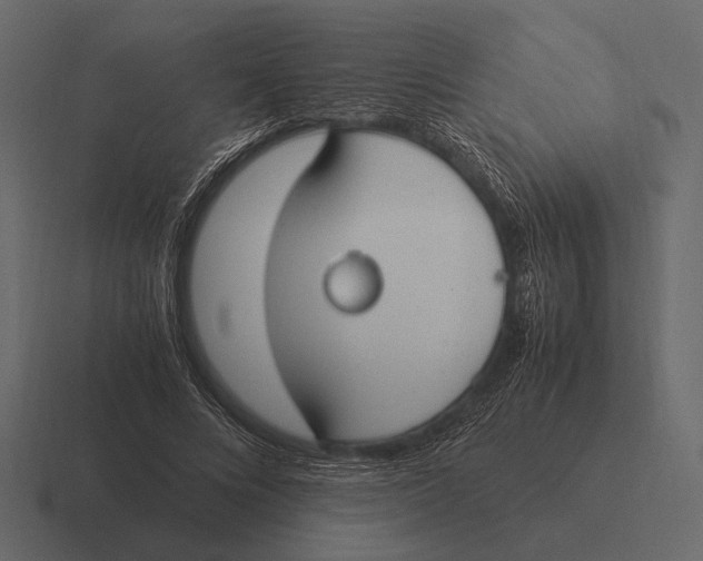 X0000116370688200912291711