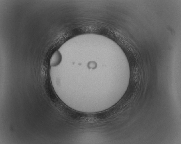 X0000116370695200912291710