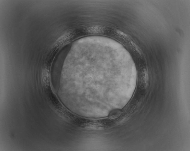 X0000116370696200912291710