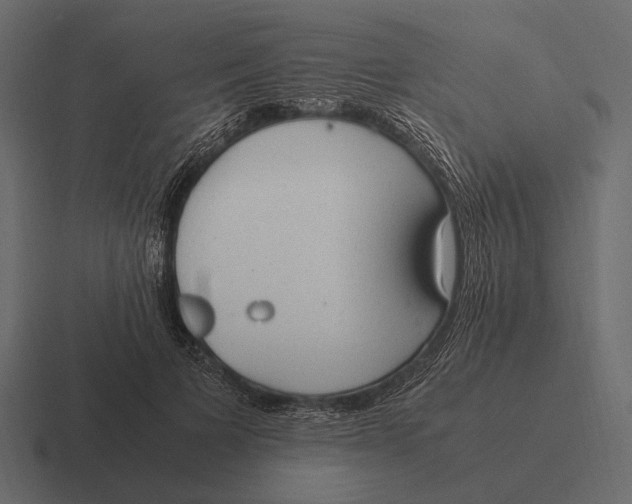 X0000116370697200912291710