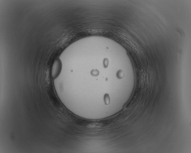 X0000116370700200912291710