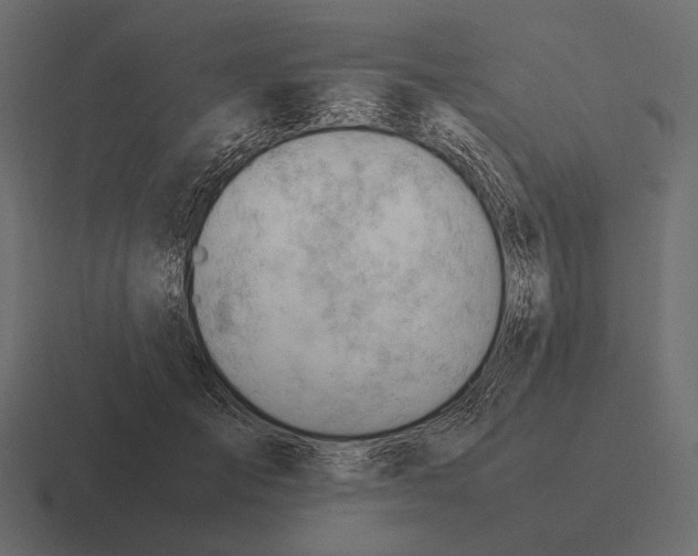 X0000116370701200912291710