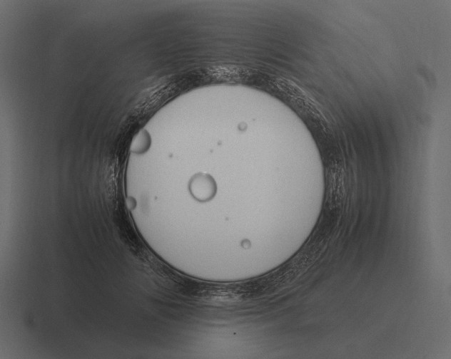 X0000116370702200912291710