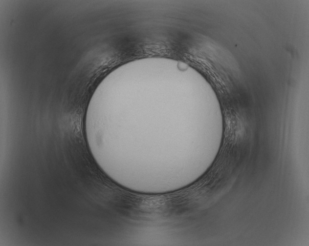 X0000116370705200912291710