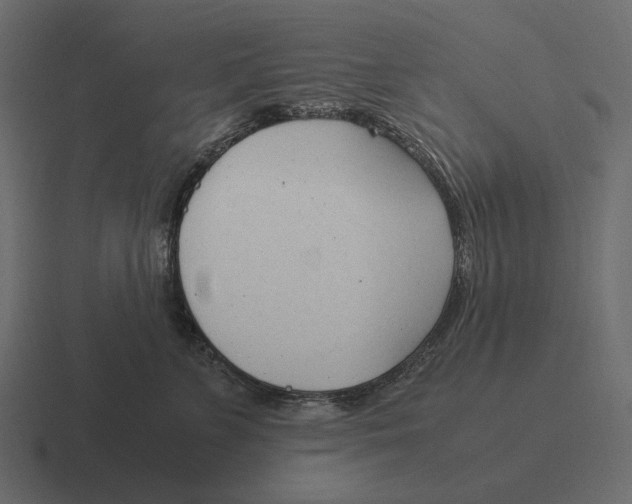 X0000116370715200912291710