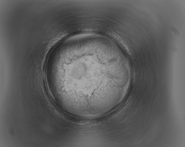 X0000116370721200912291710