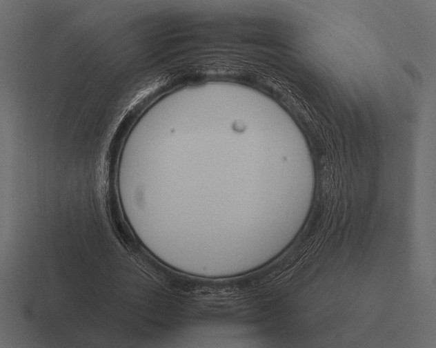 X0000116370727200912291710