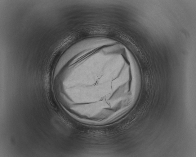 X0000116370729200912291710