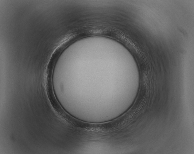 X0000116370730200912291710