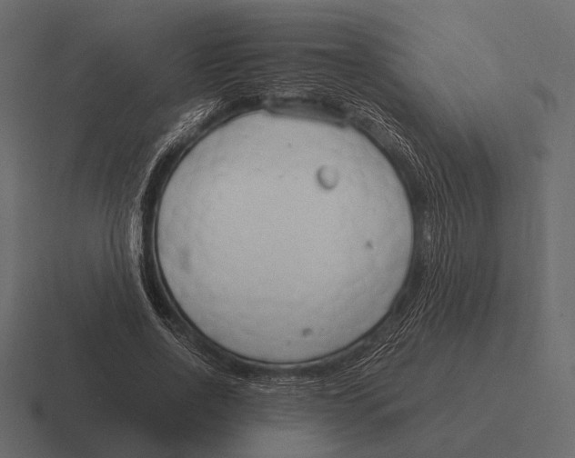 X0000116370734200912291710