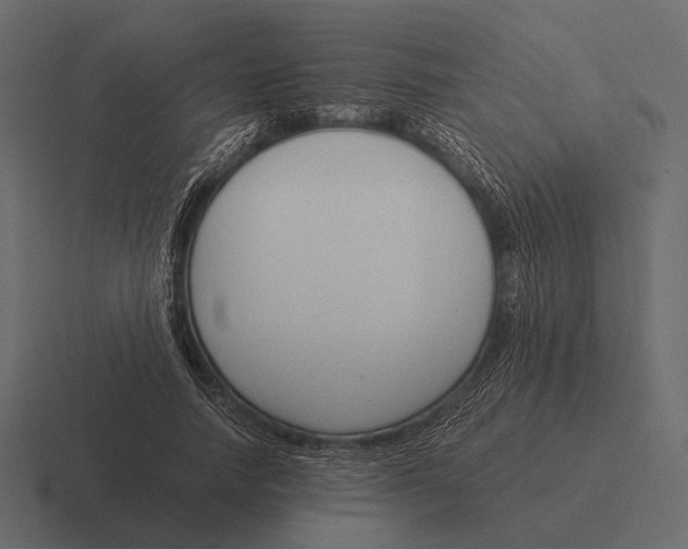 X0000116370738200912291710