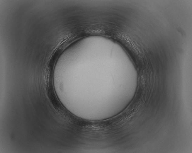 X0000116370739200912291710