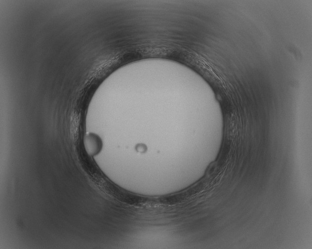 X0000116370742200912291710